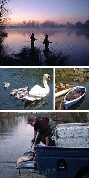 lechlade and bushyleaze trout fisheries angling uk cotswolds gloucestershire holiday